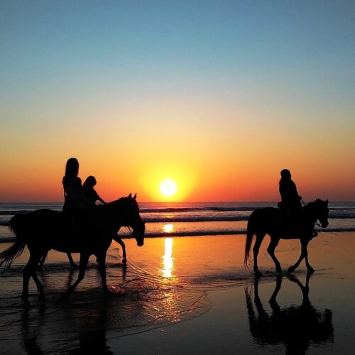 sunset horse riding in beach