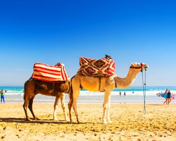 international travel agency in morocco